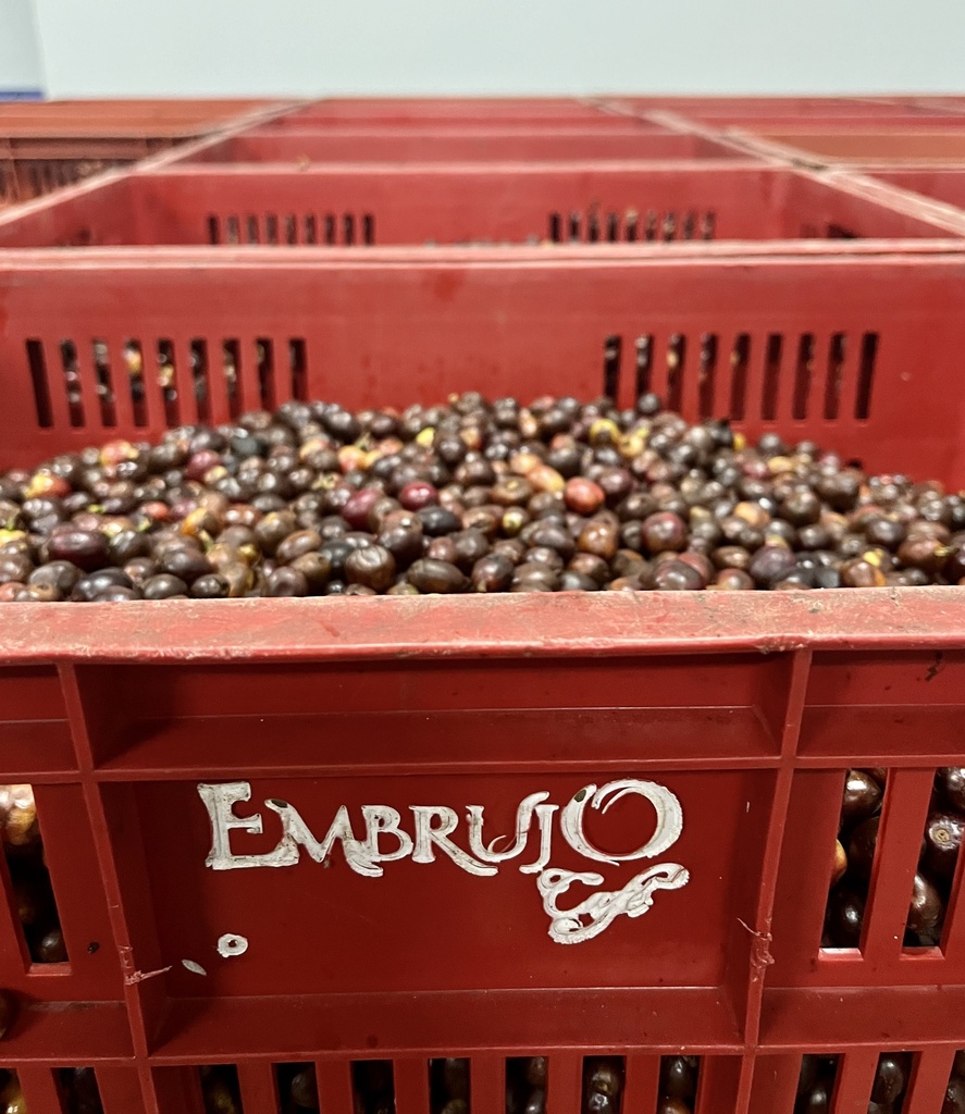Caldas El Embrujo