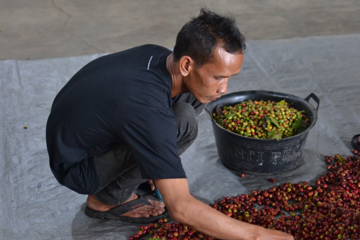 Indonesia