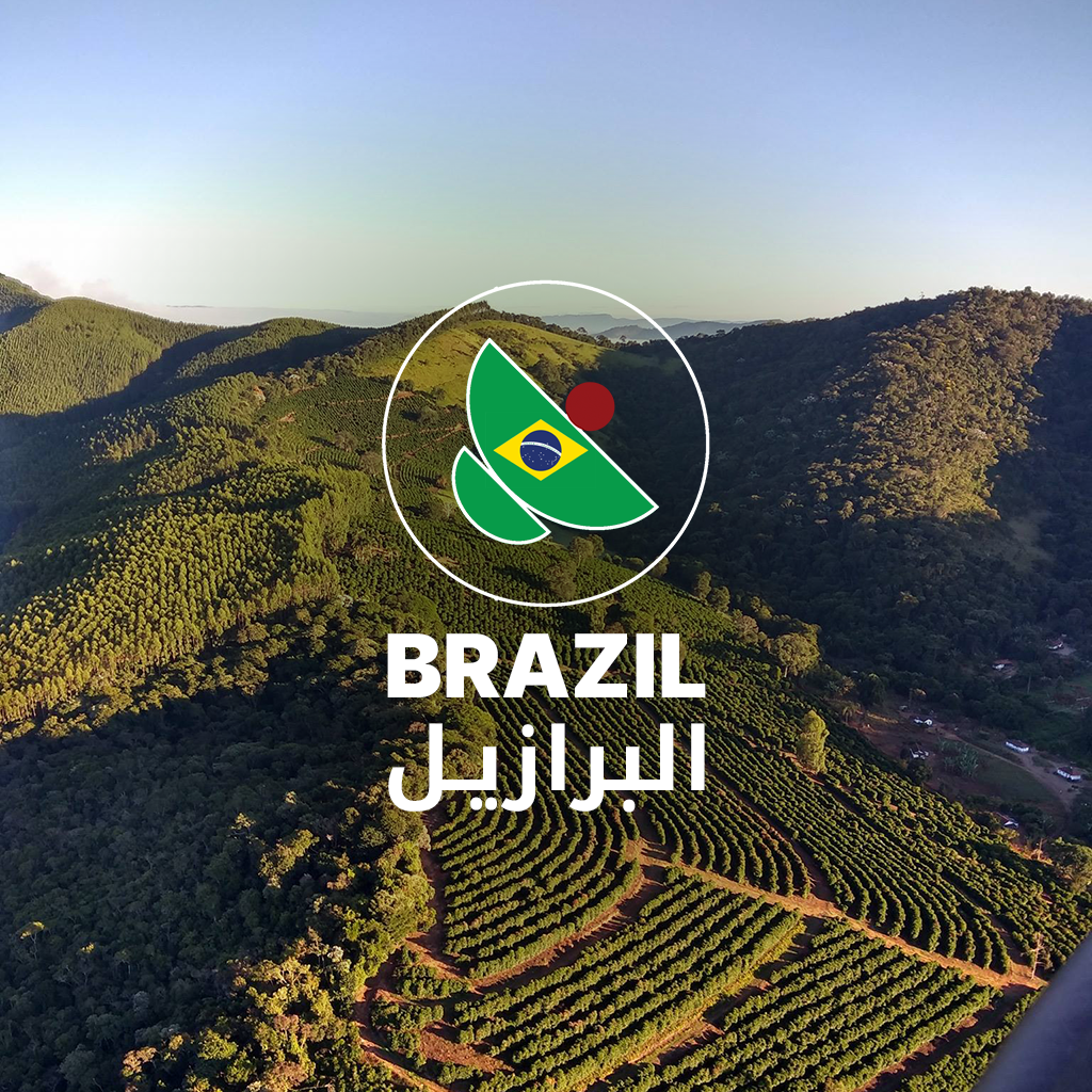 Caixas de Frutas