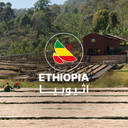 Guji Buna Terra 