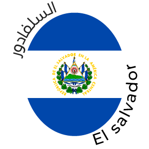 [104-SALV-FINH-NAT] Finca Himalaya Pacamara Natural